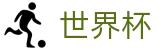 2026国际足联世界杯(FIFA World Cup)指定投注平台